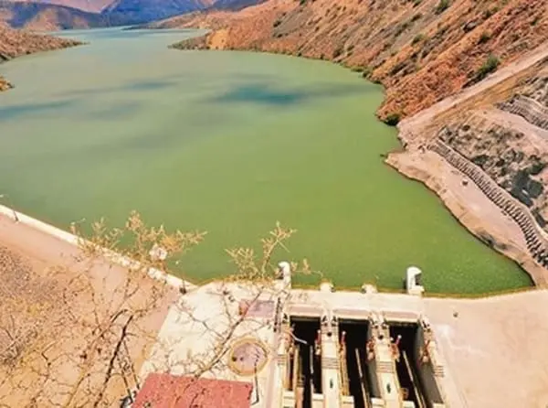Consultoría y Gestión Ambiental